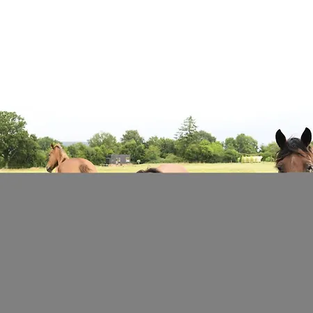 Lodge Mainteloup - Parcel Tiny House - Tiny House Au Coeur Du Perche Normand A 1h20 De Paris Mae-9733 Bretoncelles