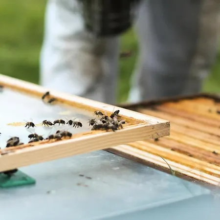 Mainteloup - Parcel Tiny House - Tiny House Au Coeur Du Perche Normand A 1h20 De Paris Mae-9733 Lodge *