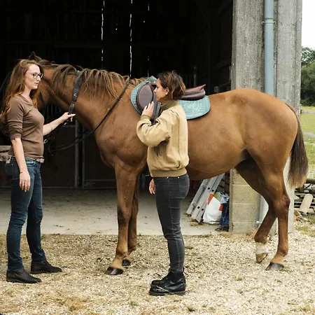 Mainteloup - Parcel Tiny House - Tiny House Au Coeur Du Perche Normand A 1h20 De Paris Mae-9733 Lodge
